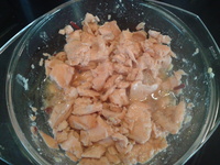Lachs3
